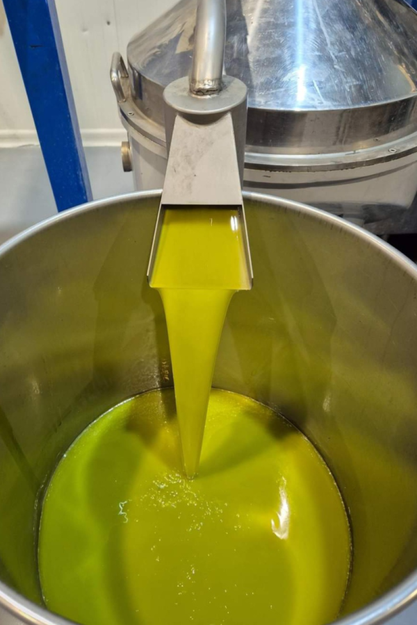 Ulei de masline - Eliada- Ulei extravirgin masline Agoureleo Nefiltrat, 2024, canistra, 1l